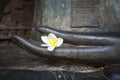 Flower in hand image of buddha Royalty Free Stock Photo