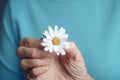 Flower hand old woman. Generate Ai Royalty Free Stock Photo