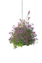 Flower Hanging Basket