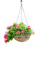 Flower hanging basket