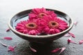 Flower heads in bowl of water