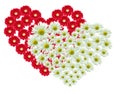 Flower heart Royalty Free Stock Photo