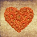 Flower heart Royalty Free Stock Photo