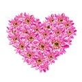Flower heart Royalty Free Stock Photo