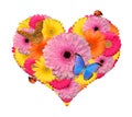 Flower heart with butterfly