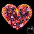 Flower heart in fire isolated on black background. Fire heart wi Royalty Free Stock Photo