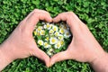 Flower heart in grass