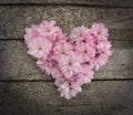 Flower heart out of some almond blossoms Royalty Free Stock Photo