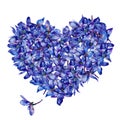 Flower heart Royalty Free Stock Photo