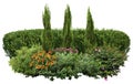 Cut out green hedge. Garden design Royalty Free Stock Photo