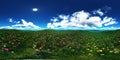 Flower hills, spring landscape of flowers, HDRI, environment map