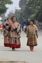 Flower Hmong Minority People Vietnam