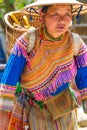 Flower Hmong tribes woman returning home from market, Bac Ha, Vietnam