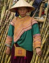 A Flower Hmong woman is selling bamboo at Bac Ha Royalty Free Stock Photo