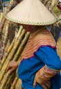 A Flower Hmong woman is selling bamboo at Bac Ha Royalty Free Stock Photo