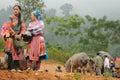 Flower Hmong Women Royalty Free Stock Photo