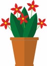 Flower, home plant in ceramic pot Royalty Free Stock Photo