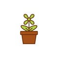 Flower home plant flat symbol icon illustration