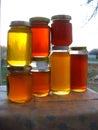 Honey in jars