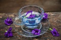 Flower hot drinking tea refresh Thai herb drink on wood Royalty Free Stock Photo