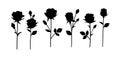 Flower icon. Set of decorative garden rose with bud and leaves silhouette isolated on white. Royalty Free Stock Photo