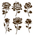 Flower icon. Set of decorative rose silhouettes