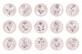 Flower icon set, outline flowers in abstract beige circles in doodle style. Social media design, decorative elements Royalty Free Stock Photo