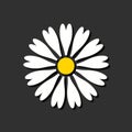 Flower icon. Simple flat icon. Cute chamomile isolated on black background. Cartoon spring daisy. Floral graphic. Vector Royalty Free Stock Photo