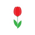 Flower icon tulip sign vector