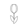 Flower icon tulip sign vector