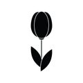 Flower icon tulip sign vector