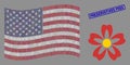 USA Flag Collage of Flower and Grunge Preservatives Free Seal