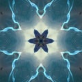 flower idea art with blue lightning Illustration abstract kaleidoscope art wallpaper design and background