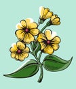 Flower illustration series Royalty Free Stock Photo