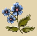 Flower illustration series Royalty Free Stock Photo