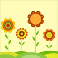 Flower Illustrations