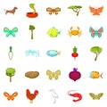 Flower insects icons set, cartoon style
