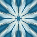 flower kaleidoscope blues and white pattern background expolosion