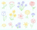 Flower. Kids drawing sketch. Doodle vector set. Hand drawn line floral collection. Cartoon chamomile, rose, tulip, sunflower and