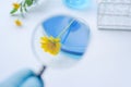 Flower with laboratory glassware with blue liquids Royalty Free Stock Photo