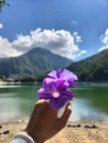 Flower on Lake