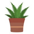 Flower leaf plant pot icon cartoon vector. Desert exotic Royalty Free Stock Photo