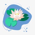 Flower and leaves of lotus, water lily, white water lily. Green leaves, pink flower, blue water. Vector illustration for design Royalty Free Stock Photo