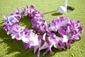 Flower Lei on Putting Green - Golf Vacation Royalty Free Stock Photo