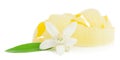 Flower and lemon dried peel. Royalty Free Stock Photo