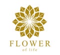 Flower of Life ancient symbol beautiful elegant vector logo or emblem isolated over white background, sacred geometry design Royalty Free Stock Photo
