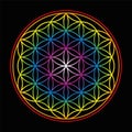 Flower Of Life Bright Glow Colors Black