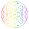 Flower of life, buddhism chakra illustration