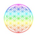 Flower of Life Royalty Free Stock Photo