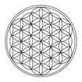 The Flower of Life